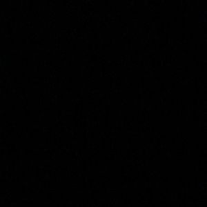 Meet your Posher, Tessa